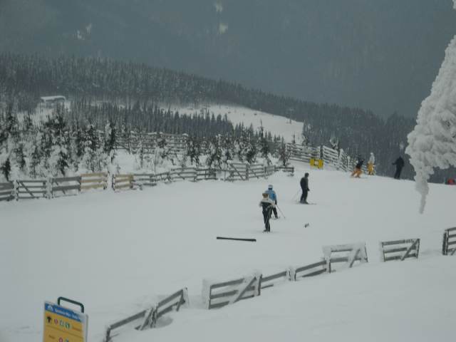 Spinleruv Mlyn Februari 2010